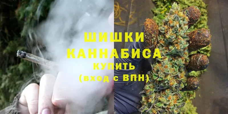 Каннабис индика  Шумерля 